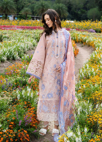 Mushq - Dhanak | SS-1005