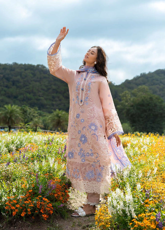 Mushq - Dhanak | SS-1005